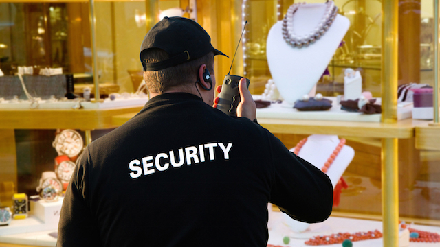 Fortifying Your Safety: Exploring the Power of Security Services in Jaipur