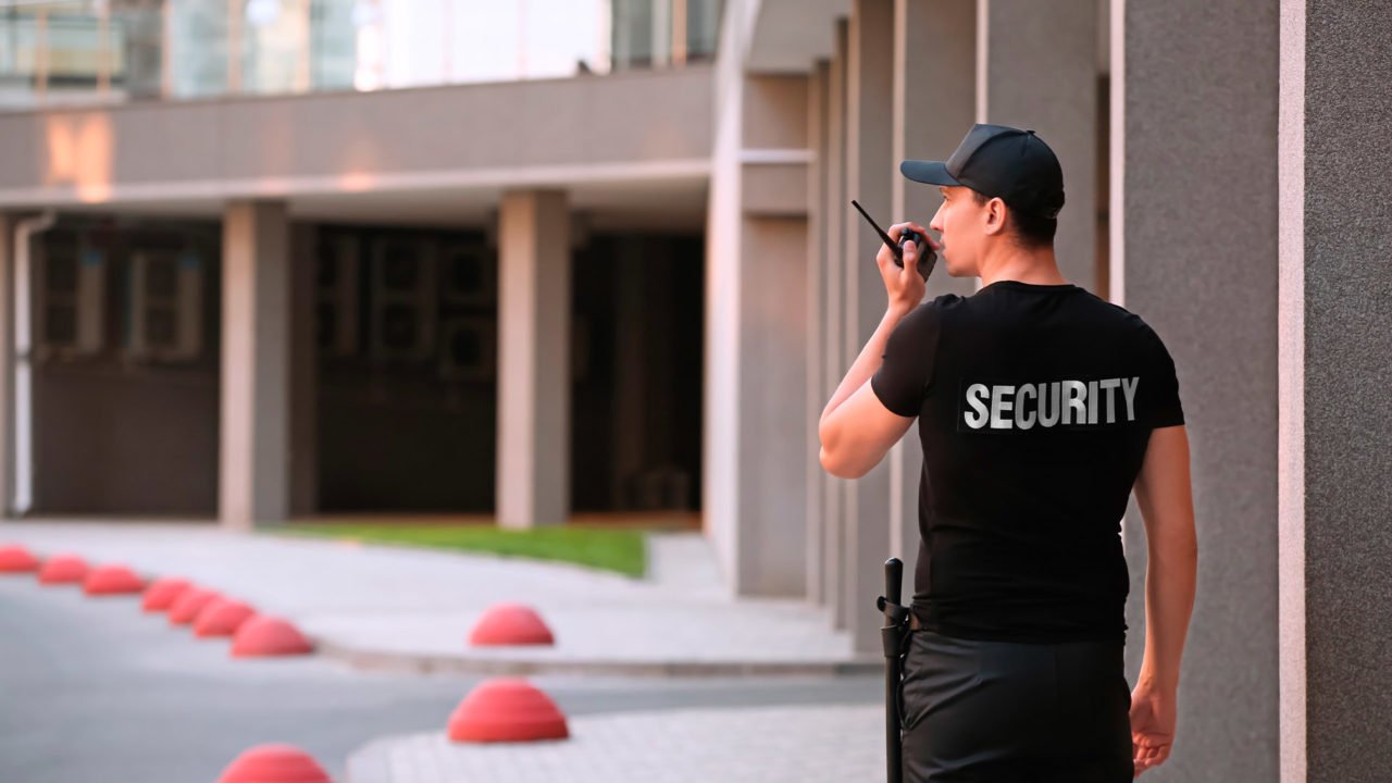 What Is the Role of a Security Service?
