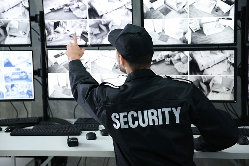 What are 5 different roles of private security services?